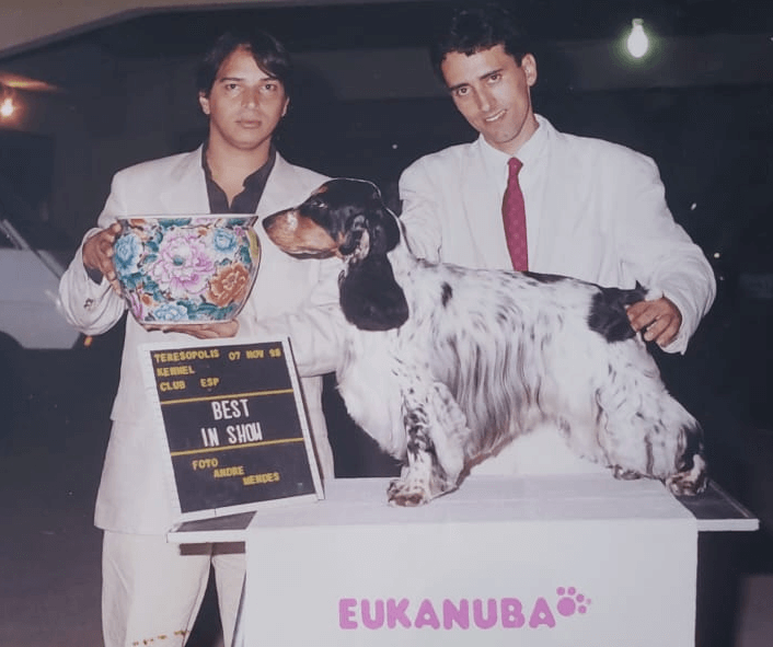 Buddy: Best in Show na Copa Eukanuba